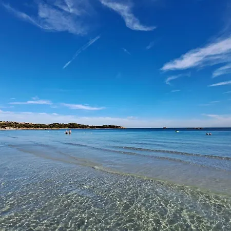 Harry's House Con Piscina Privata